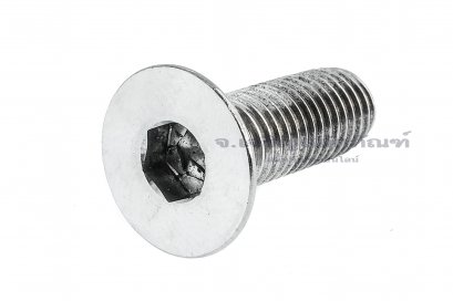 น็อตหัวจมเตเปอร์สแตนเลส M14x40