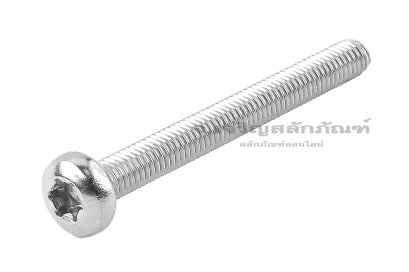 น็อตหัวทอร์ค-หัวดาว สแตนเลส M4x40