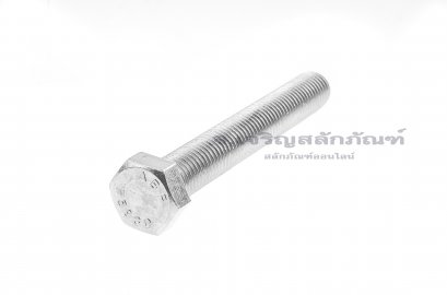 น็อตหัวเหลี่ยมสแตนเลส Stainless Steel Hex Bolt 3/4&quot;x5.1/2&quot;