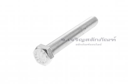 น็อตหัวเหลี่ยมสแตนเลส Stainless Steel Hex Bolt 3/4&quot;x6&quot;