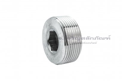 ปลั๊กอุดตัวหนอนสแตนเลส  1.1/2&quot; NPT 11.5