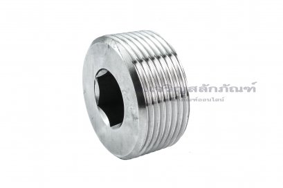 ปลั๊กอุดตัวหนอนสแตนเลส  1.1/4&quot; NPT 11.5