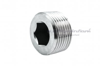 ปลั๊กอุดตัวหนอนสแตนเลส  1&quot; BSPF 11