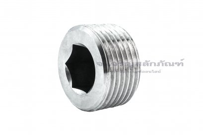 ปลั๊กอุดตัวหนอนสแตนเลส  1&quot; BSPT 11