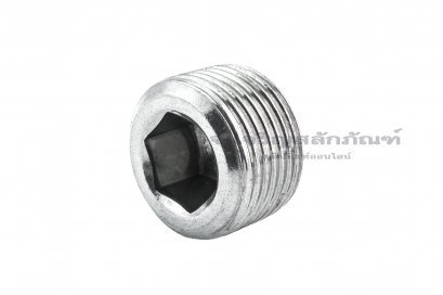 ปลั๊กอุดตัวหนอนสแตนเลส  3/4&quot; NPT 14