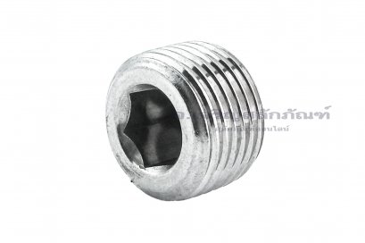 ปลั๊กอุดตัวหนอนสแตนเลส  3/8&quot; BSPT 19