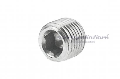 ปลั๊กอุดตัวหนอนสแตนเลส  1/8 BSPF 28