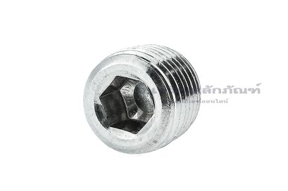 ปลั๊กอุดตัวหนอนสแตนเลสเกรด 316 ขนาด 1/8&quot; NPT 27