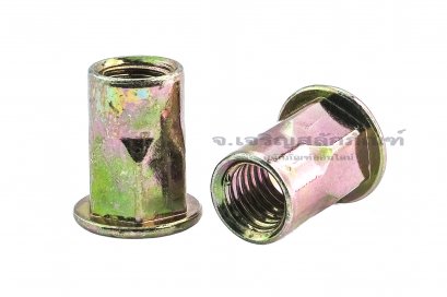 รีเวทนัทเหล็กชุบรุ้ง รุ่นคอเหลี่ยมหัวแบนกลม M10 Rivet Nut