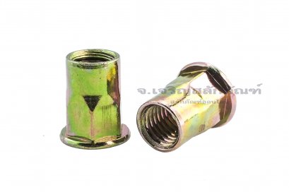 รีเวทนัทเหล็กชุบรุ้ง รุ่นคอเหลี่ยมหัวแบนกลม M12 Rivet Nut