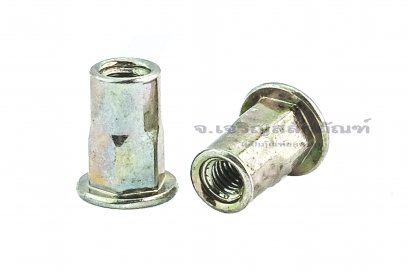 รีเวทนัทเหล็กชุบรุ้ง รุ่นคอเหลี่ยมหัวแบนกลม M3 Rivet Nut