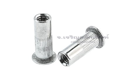 รีเวทนัทสแตนเลส M5 (Stainless Steel Extra Long Rivet ) รุ่นยาวพิเศษ 19 mm