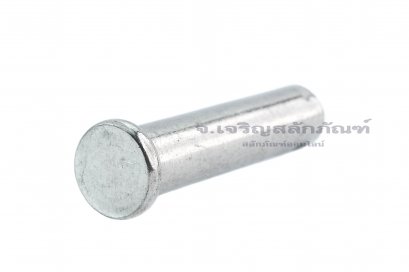 สลักหัวแบนกลม-ปิ๊นหัวแบนสแตนเลส (Stainless Steel Clevis Pin) ขนาด 6x16
