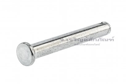 สลักหัวแบนกลม-ปิ๊นหัวแบนสแตนเลส (Stainless Steel Clevis Pin) ขนาด 8x60
