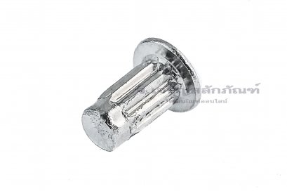 หมุดย้ำป้ายชื่อ หมุดย้ำเนมเพลท สแตนเลส M2x4