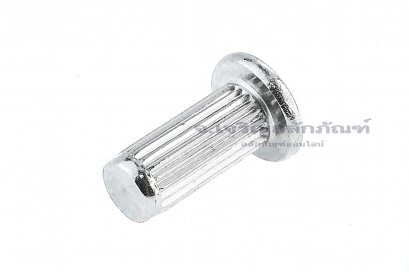 หมุดย้ำป้ายชื่อ หมุดย้ำเนมเพลท สแตนเลส M5x12