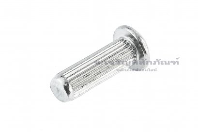 หมุดย้ำป้ายชื่อ หมุดย้ำเนมเพลท สแตนเลส M5x16