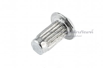 หมุดย้ำป้ายชื่อ หมุดย้ำเนมเพลท สแตนเลส M6x12