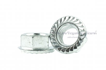 หัวน็อตติดจาน-หัวน็อตติดแหวน (Flange Hex Nut Steel) M10x1.0