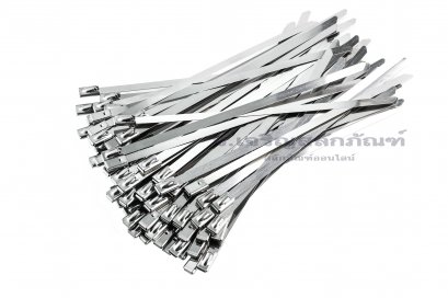 เคเบิ้ลไทร์สแตนเลส Stainless Steel Cable Tie ขนาด 4.6x200 mm (3/16"x8")