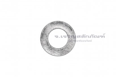 แหวนอีแปะ M5 สแตนเลส รุ่นขอบเล็กพิเศษ (5-10-0.5)