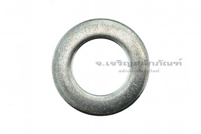 แหวนอีแปะ M20 สแตนเลส (21.2-36.7-3.0)