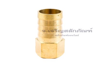 ข้อต่อหางไหลทองเหลือง เกลียวในเสียบสาย (เกลียวใน x หางไหล) ขนาด 1/2" x 25 mm