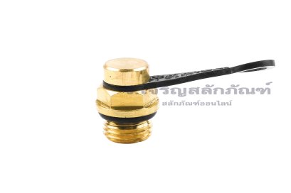 ข้อต่อวาล์วหายใจทองเหลือง Breather Valve 1/4"-19 BSPF