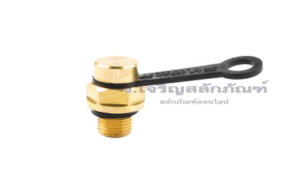 ข้อต่อวาล์วหายใจทองเหลือง Breather Valve 1/8"-28 BSPF