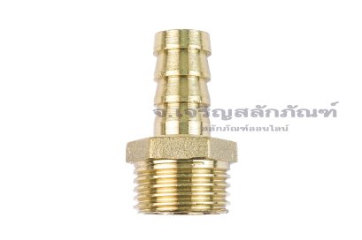 ข้อต่อหางไหลทองเหลือง เกลียวนอกเสียบสาย (เกลียวนอก x หางไหล) ขนาด 1/2" x 12 mm