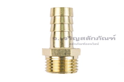 ข้อต่อหางไหลทองเหลือง เกลียวนอกเสียบสาย (เกลียวนอก x หางไหล) ขนาด 1/2" x 14 mm
