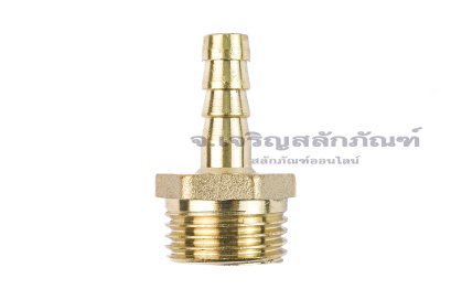 ข้อต่อหางไหลทองเหลือง เกลียวนอกเสียบสาย (เกลียวนอก x หางไหล) ขนาด 1/2" x 8 mm