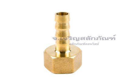 ข้อต่อหางไหลทองเหลือง เกลียวในเสียบสาย (เกลียวใน x หางไหล) ขนาด 1/2" x 10 mm