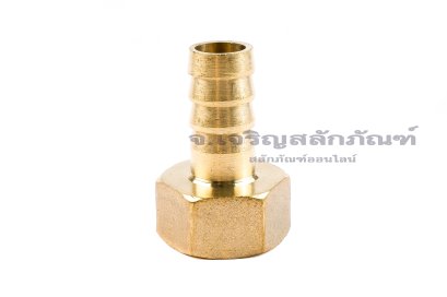 ข้อต่อหางไหลทองเหลือง เกลียวในเสียบสาย (เกลียวใน x หางไหล) ขนาด 1/2" x 12 mm
