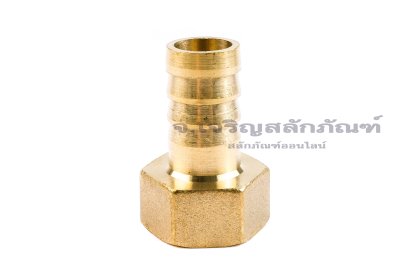 ข้อต่อหางไหลทองเหลือง เกลียวในเสียบสาย (เกลียวใน x หางไหล) ขนาด 1/2" x 14 mm