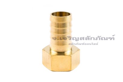 ข้อต่อหางไหลทองเหลือง เกลียวในเสียบสาย (เกลียวใน x หางไหล) ขนาด 1/2" x 16 mm