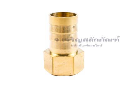 ข้อต่อหางไหลทองเหลือง เกลียวในเสียบสาย (เกลียวใน x หางไหล) ขนาด 1/2" x 19 mm
