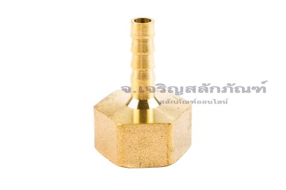 ข้อต่อหางไหลทองเหลือง เกลียวในเสียบสาย (เกลียวใน x หางไหล) ขนาด 1/2" x 6 mm