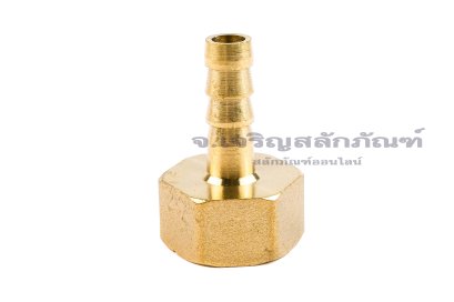 ข้อต่อหางไหลทองเหลือง เกลียวในเสียบสาย (เกลียวใน x หางไหล) ขนาด 1/2" x 8 mm