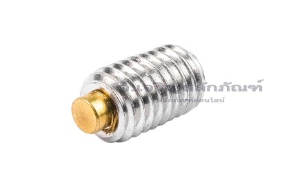 น็อตตัวหนอนสแตนเลส M5x8 ปลายทองเหลือง 2.5x1.2 mm