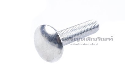 น็อตหัวกลมคอเหลี่ยมชุบขาว ขนาด M10x45 เกลียวตลอด
