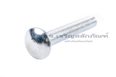 น็อตหัวกลมคอเหลี่ยมชุบขาว ขนาด M10x65 เกลียวตลอด