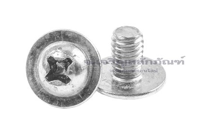น็อตหัวกลมแฉกแบบติดแหวน สแตนเลส (Phillip Round Head Screw with Flange) ขนาด M4x6 เกลียวตลอด