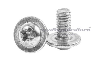 น็อตหัวกลมแฉกแบบติดแหวน สแตนเลส (Phillip Round Head Screw with Flange) ขนาด M4x8 เกลียวตลอด