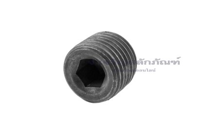 ปลั๊กอุดตัวหนอนดำ 1/4" BSP/PT - 19