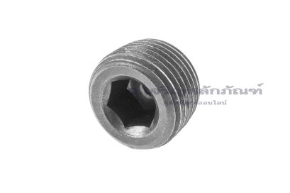ปลั๊กอุดตัวหนอนดำ 3/8" NPT - 18