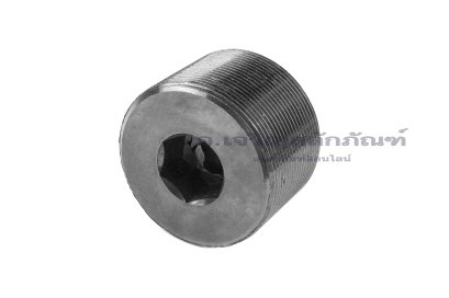ปลั๊กอุดตัวหนอนดำ M45x1.5