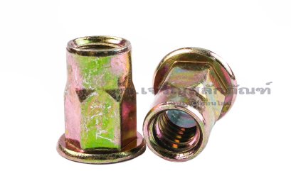 รีเวทนัทเหล็กชุบรุ้ง รุ่นคอเหลี่ยมหัวแบนกลม 1/4" เกลียว 20 Rivet Nut