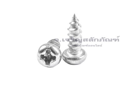 สกรูเกลียวปล่อยสแตนเลสหัวกลมแฉก M2x6