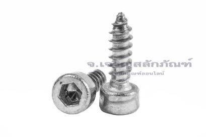 สกรูเกลียวปล่อยหัวจมสแตนเลส (Hex Socket Self Tapping Screw) M3x10